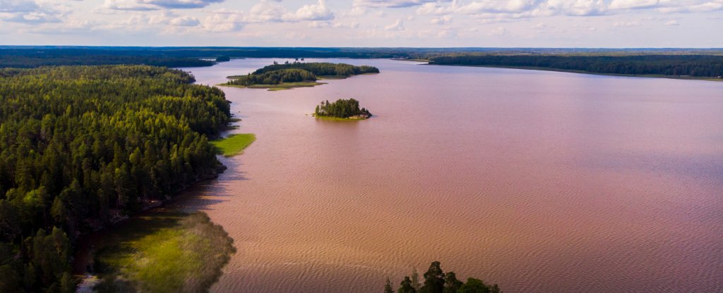 Выборг, парк Монрепо,  - Фото с квадрокоптера