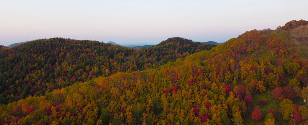 Красочная осень, Холмск - Фото с квадрокоптера