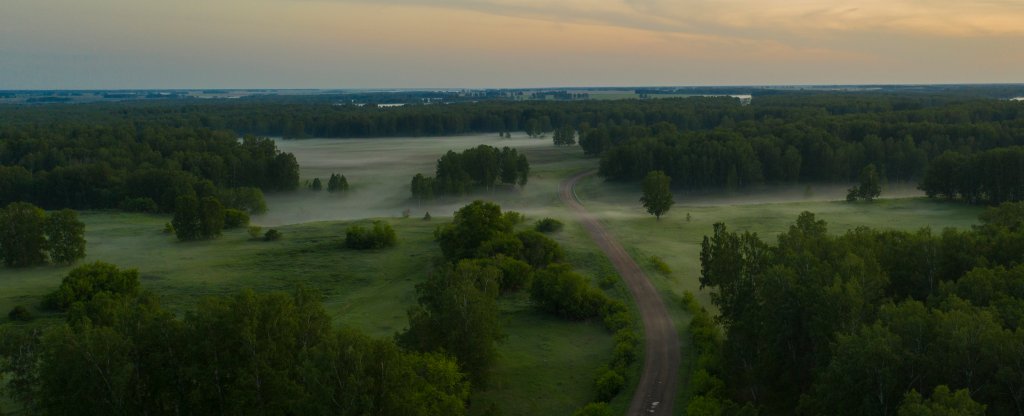 Туман над сельской дорогой, Новосибирск - Фото с квадрокоптера