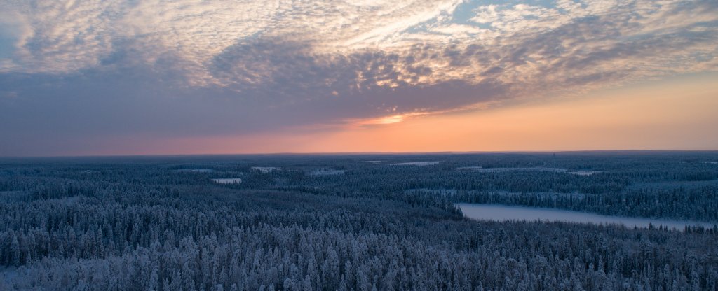 Морозный день, Костомукша - Фото с квадрокоптера