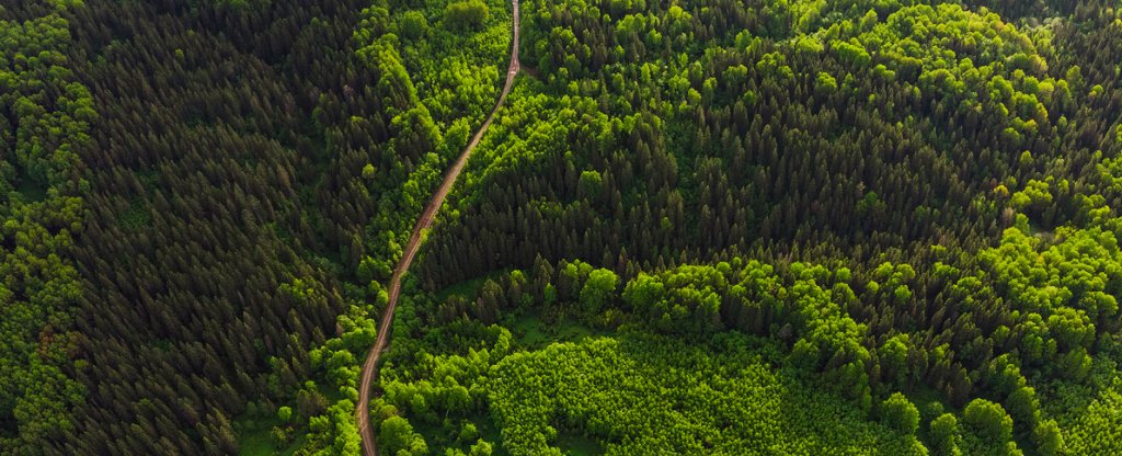 Бескрайние просторы,  - Фото с квадрокоптера