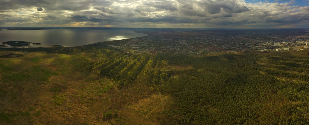 Панорама леса с видом на Волгу и город Тольятти,  - Фото с квадрокоптера