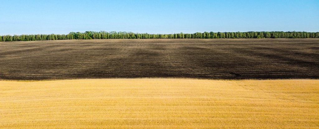 С пшеницей и без,  - Фото с квадрокоптера