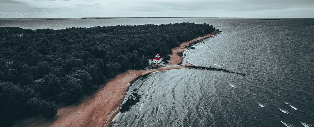 Пляж Дубки в Сестрорецке, Сестрорецк - Фото с квадрокоптера