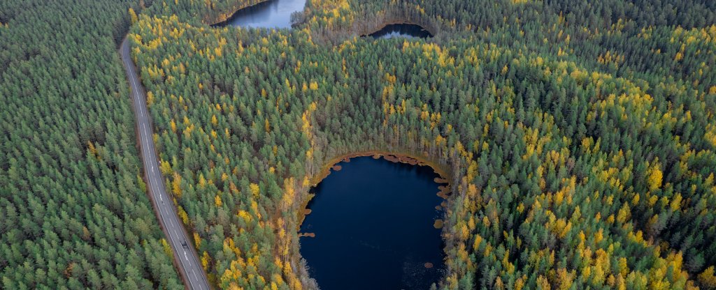 Раздельные озера, Санкт-Петербург - Фото с квадрокоптера