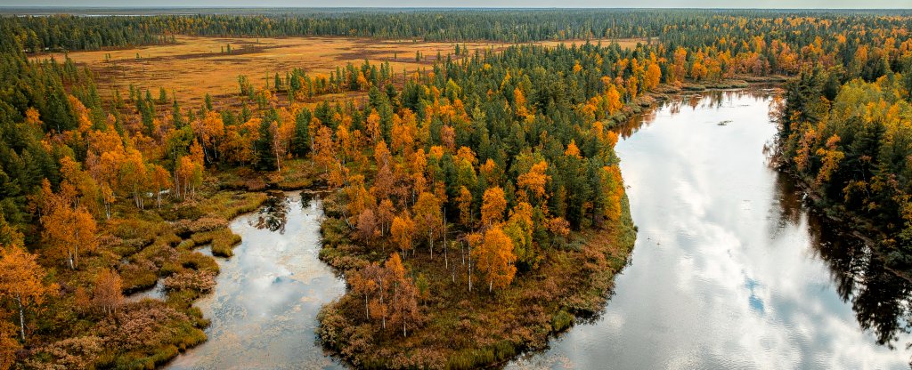 Осень на Ямале, Надым - Фото с квадрокоптера