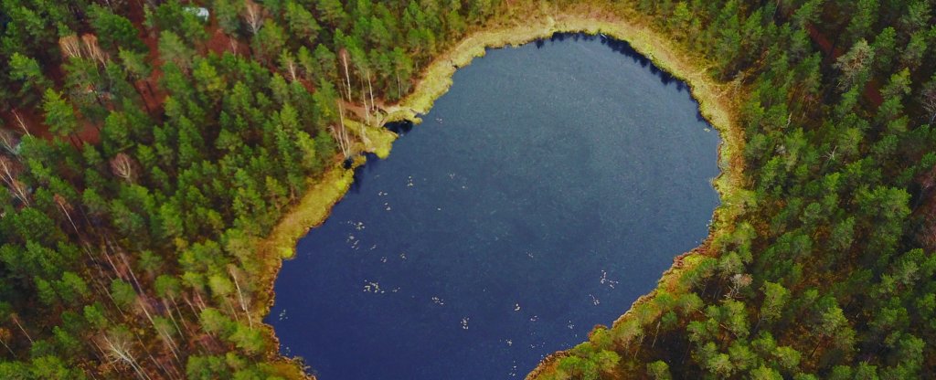 След снежного человека,  - Фото с квадрокоптера