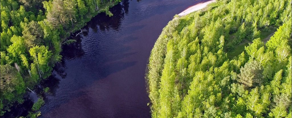 Байдарочники на р.Пра (близ Окского заповедника),  - Фото с квадрокоптера