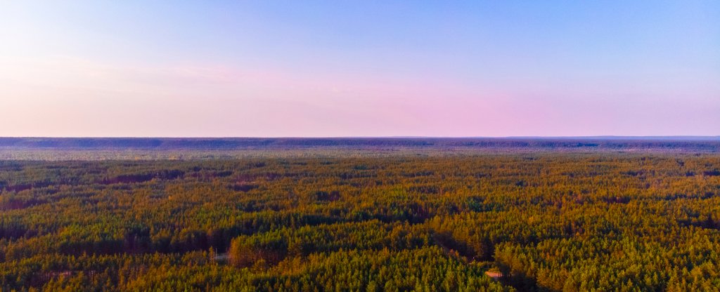 Чувашия, Заволжье,  - Фото с квадрокоптера