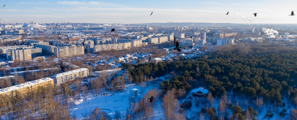 Птицы над городом,  - Фото с квадрокоптера