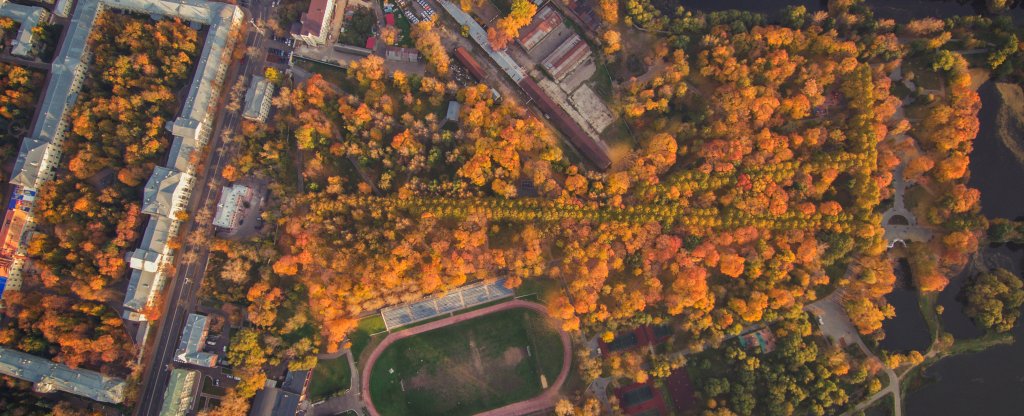 Лефортовский парк, Москва - Фото с квадрокоптера